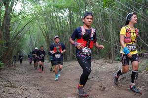 BIB: 321, 3022
                            <button type="button" onclick="openModal(4117587)" class="btn btn-primary btn-sm float-right btn-popup" data-toggle="modal" data-target=".modal-high-quality">
                        <i class="fas fa-shopping-cart"></i> Add to Cart
                    </button>
                                            <button type="button" onclick="isThisMe(4117587, true)" class="btn btn-success btn-sm float-right btn-popup btn-isme hidden" data-toggle="tooltip" data-placement="bottom" title="นี่คือรูปของคุณใช่ไหม คลิกที่นี่เพื่อเอาเข้าอัลบั้ม">
                        <i class="fas fa-plus"></i> Add to album
                    </button>
                    <button type="button" onclick="isThisMe(4117587, false)" class="btn btn-warning btn-sm float-right btn-popup btn-isnotme hidden">
                        <i class="fas fa-ban"></i> Remove from album
                    </button>